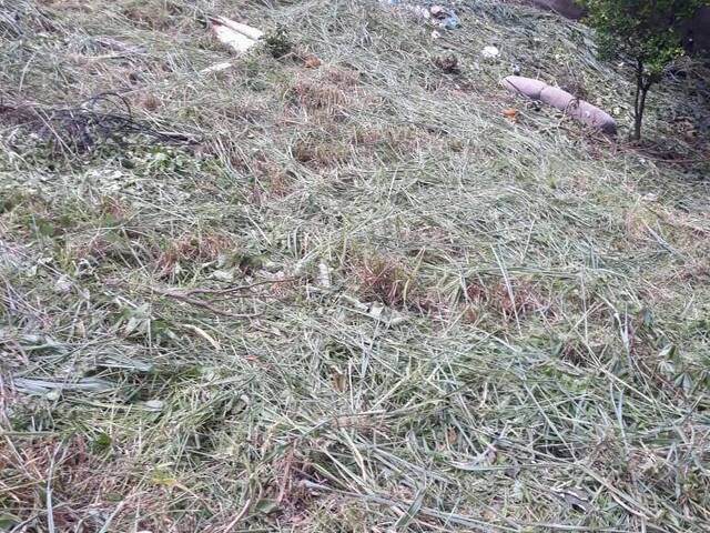 Terreno para Venda em Belo Horizonte - 5